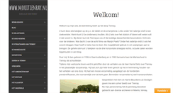 Desktop Screenshot of mooitienray.nl